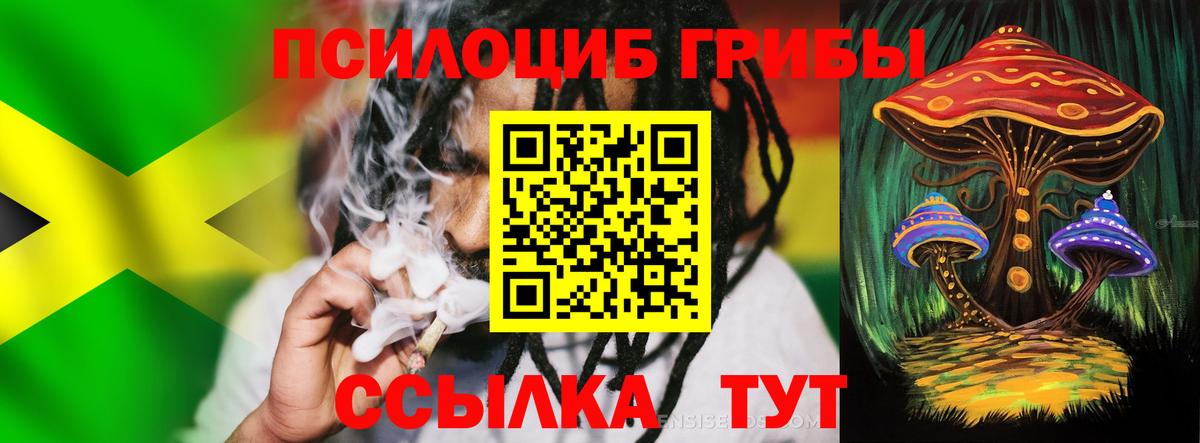 Псилоцибиновые грибы прущие грибы  Галлюциногенные грибы Magic Shrooms  Вход с VPN  Кизилюрт 
